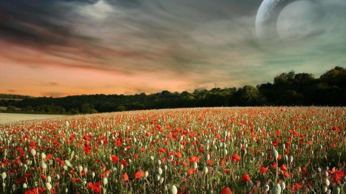 为什么今年的雷霆会惹众怒？